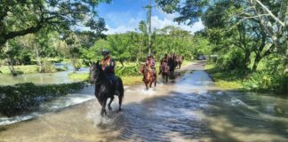 SSP brinda asistencia a familias afectadas por lluvias en el sur de Veracruz