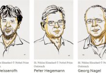 Nobel de Medicina 2026 reconoce a tres científicos por desarrollar una herramienta para estudiar el cerebro con luz