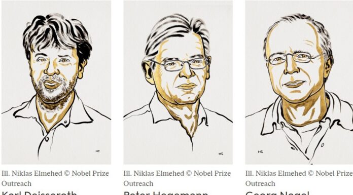 Nobel de Medicina 2026 reconoce a tres científicos por desarrollar una herramienta para estudiar el cerebro con luz