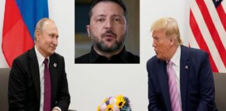 Trump anuncia tregua energética entre Rusia y Ucrania; Zelensky sorprendido
