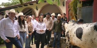 Reconoce Gobernadora calidad del ganado y trabajo de productores del sur