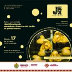 Continúa SECVER con las Jornadas de arte y ciencia en el Jardín de las Esculturas de Xalapa