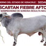 Descartan fiebre aftosa en ganado sospechoso de Sonora; confirman estomatitis bovina
