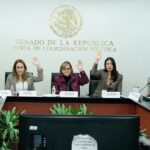 Martha Lucía Mícher adelantó que en breve estará listo el borrador del dictamen de ley de feminicidio.