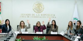 Martha Lucía Mícher adelantó que en breve estará listo el borrador del dictamen de ley de feminicidio.