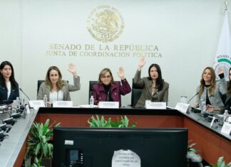 Martha Lucía Mícher adelantó que en breve estará listo el borrador del dictamen de ley de feminicidio.