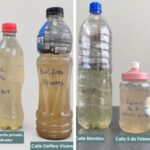 Habitantes de Banderilla alertan por presunta contaminación del agua potable con bacterias.