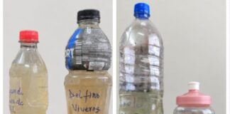 Habitantes de Banderilla alertan por presunta contaminación del agua potable con bacterias.