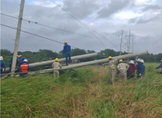 CFE trabaja en Veracruz para reestablecer suministro eléctrico por caída de torres