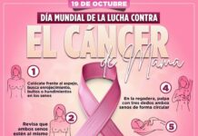 El cáncer de mama