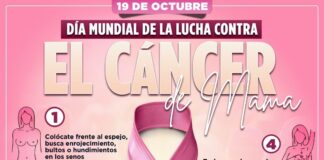 El cáncer de mama