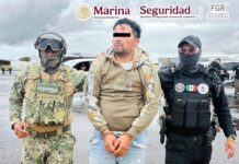 Detienen a “El Semáforo”, señalado como sucesor de “El Tanque” en Oaxaca y Veracruz