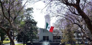 México rechaza brote de Cyclospora en EU luego de que FDA lo atribuyera a productos mexicanos