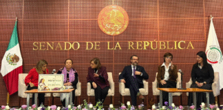 Paridad política en México enfrenta retos por violencia contra las mujeres y rezago municipal