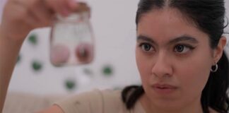 Egresadas UV unieron ciencia y arte en el cortometraje Los ojos de Abe