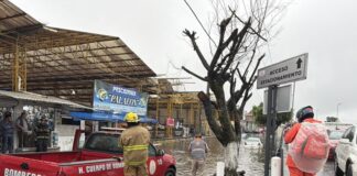 Gobierno de Veracruz mantiene atención y vigilancia coordinadas por lluvias