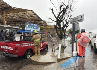 Gobierno de Veracruz mantiene atención y vigilancia coordinadas por lluvias