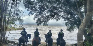 Ante lluvias persistentes, se mantienen medidas preventivas y de resguardo: SPC Veracruz