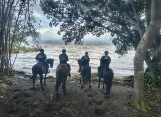 Ante lluvias persistentes, se mantienen medidas preventivas y de resguardo: SPC Veracruz