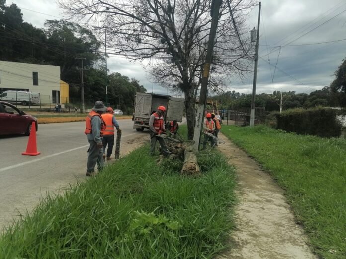 afectaciones Xalapa