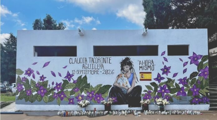 Feminicidios, desaparición y fosas: la universidad pública de Morelos como lugar de sedimentación de las violencias