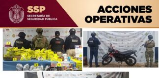 Aprehenden a 38 personas y decomisan más de 200 dosis de sustancias ilícitas: SSP Veracruz