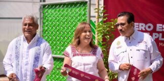 #Video: Veracruz producirá 200 mil plantas de cítricos para apoyar a pequeños productores: Nahle